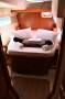 Leopard Catamarans 46