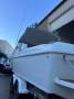 Caribbean Reef Runner 21