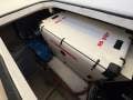 Mustang 3800 LE Sportscruiser