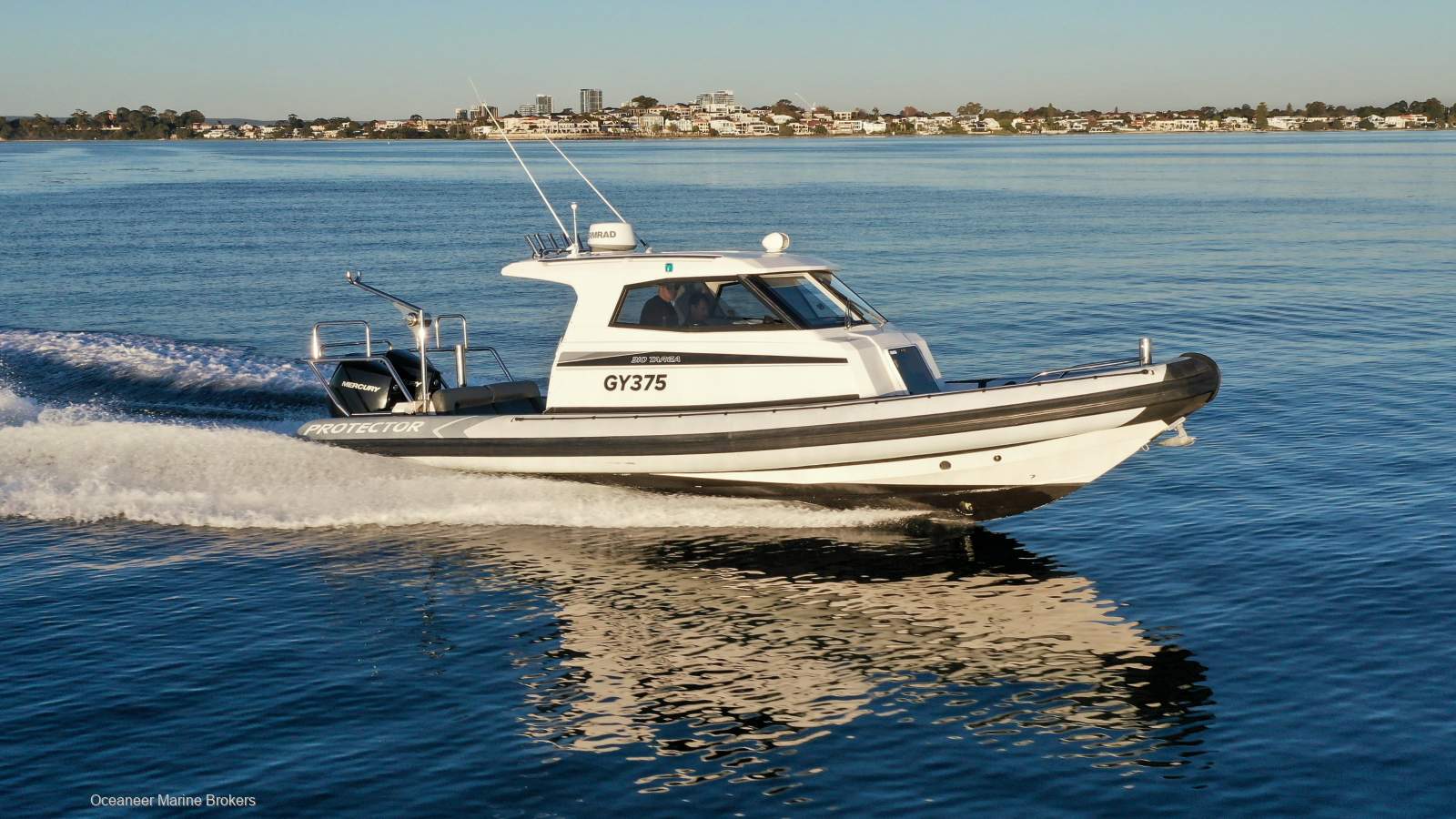 Protector 310 Targa