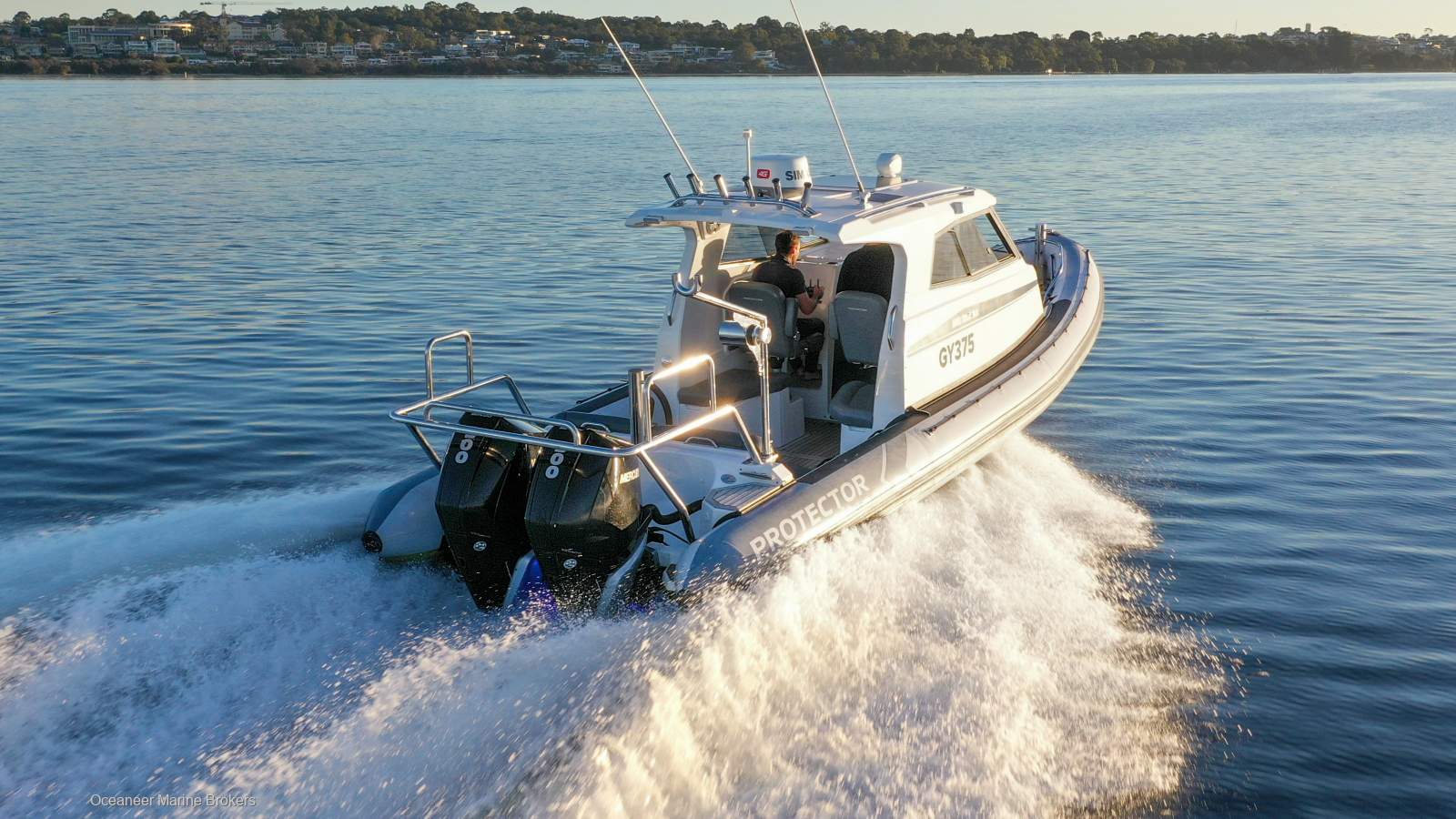 Protector 310 Targa