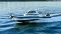Protector 310 Targa