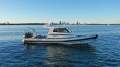 Protector 310 Targa