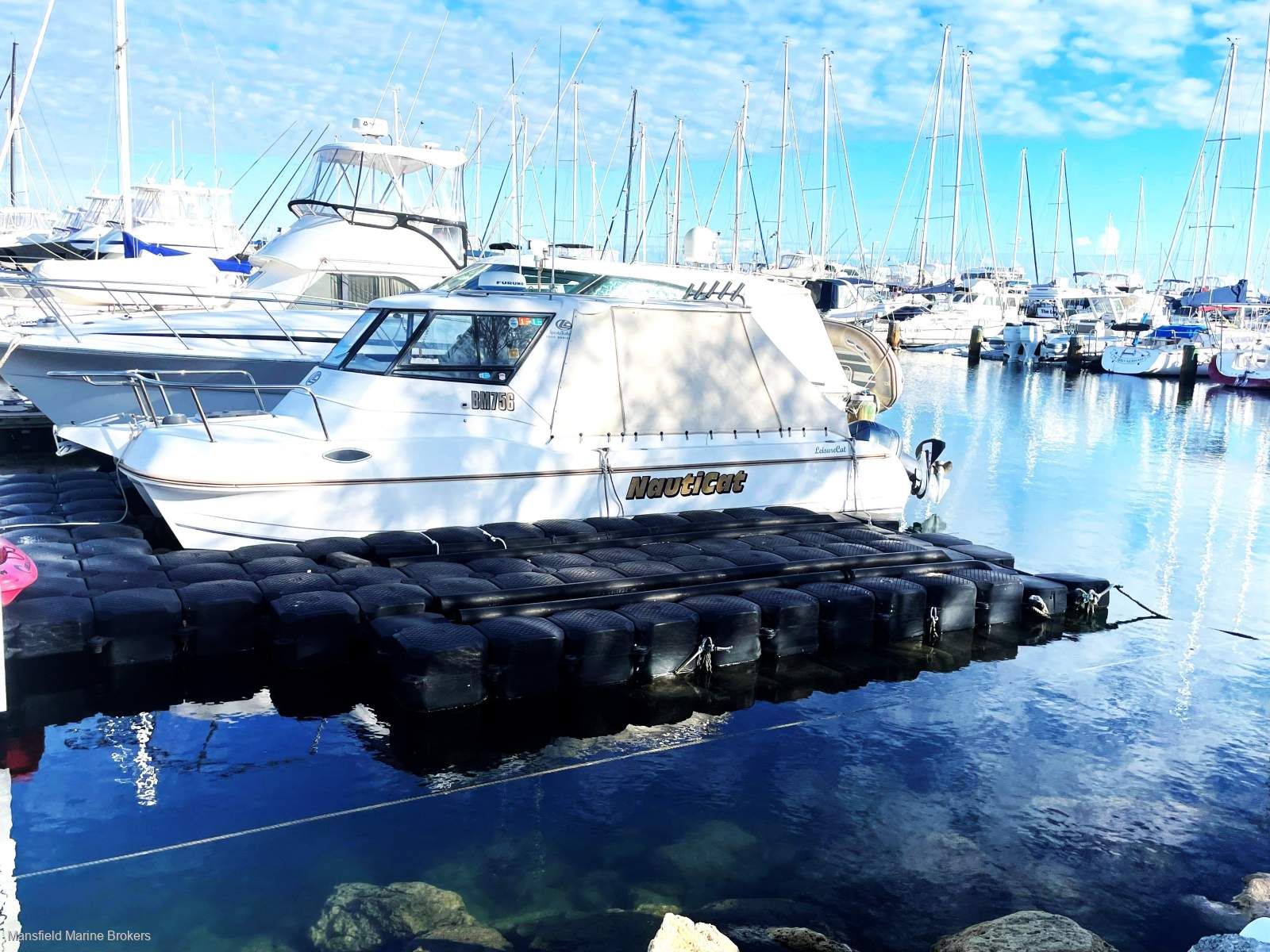 Leisurecat 8000 Sportsfisher