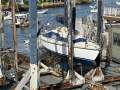 Endeavour 26
