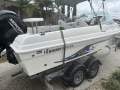 Haines Hunter 580sf