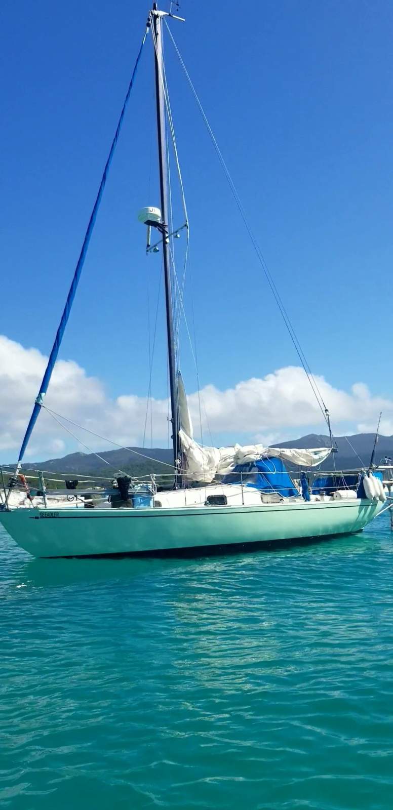 Contessa 26