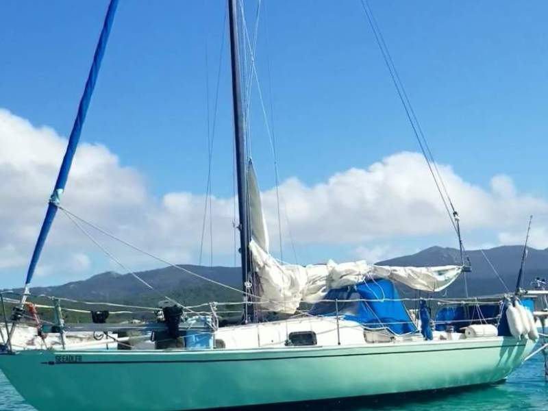 Contessa 26