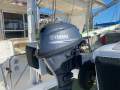 Leopard Catamarans 39