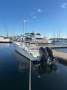 Al Dhaen 360 SF Wavebreaker NEW ENGINES