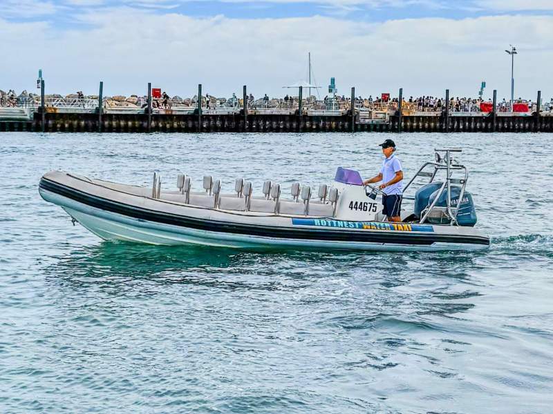 Gemini Waverider 730