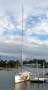 Jim Young 1985 37" Sloop Racing Yacht