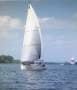 Jim Young 1985 37" Sloop Racing Yacht