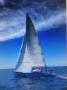 Jim Young 1985 37" Sloop Racing Yacht