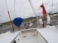 Birdsall 35