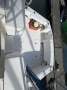 Luhrs 31 Open Tower
