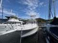 Luhrs 31 Open Tower