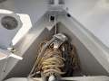 Naiad 8.5 RIB & Brand New Yamaha 450HP V8