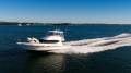 Mustang M43 Flybridge