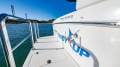 Mustang M43 Flybridge