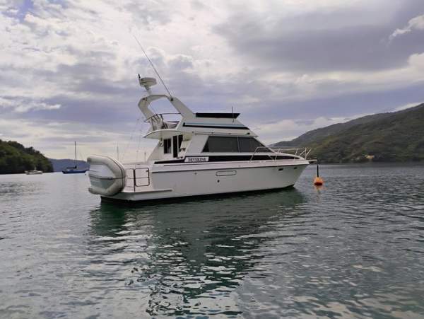 Oliver 35