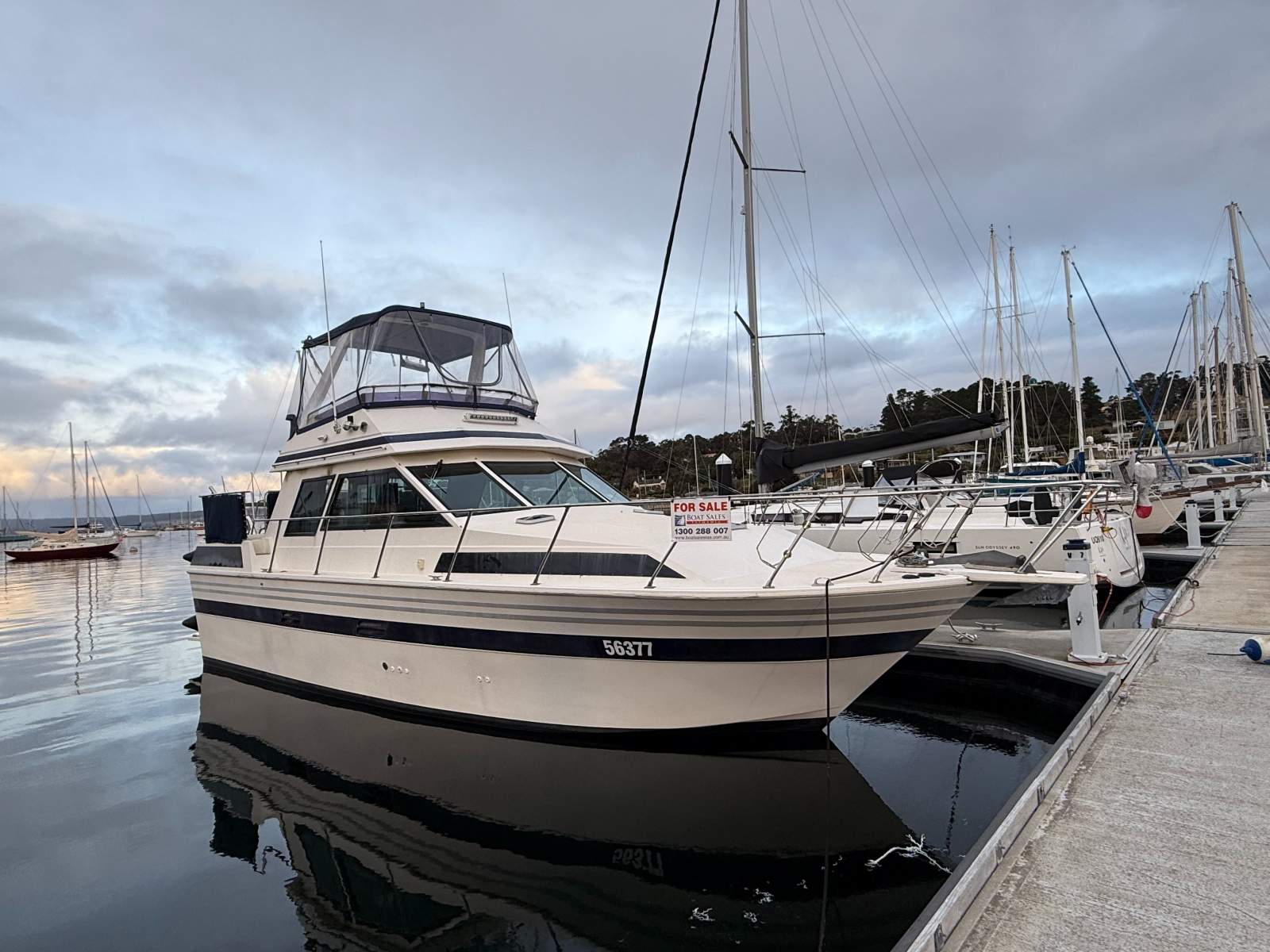 Ranger 35 Aft Cabin "Moonlight Lady"