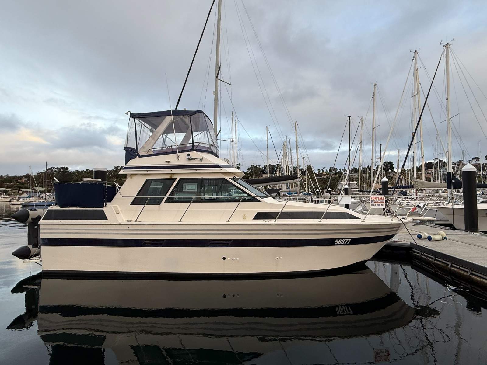 Ranger 35 Aft Cabin Moonlight Lady