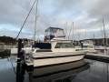 Ranger 35 Aft Cabin "Moonlight Lady"