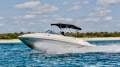 Sea Ray 220 Sundeck