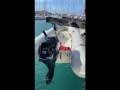 Fountaine Pajot Helia 44 Evolution