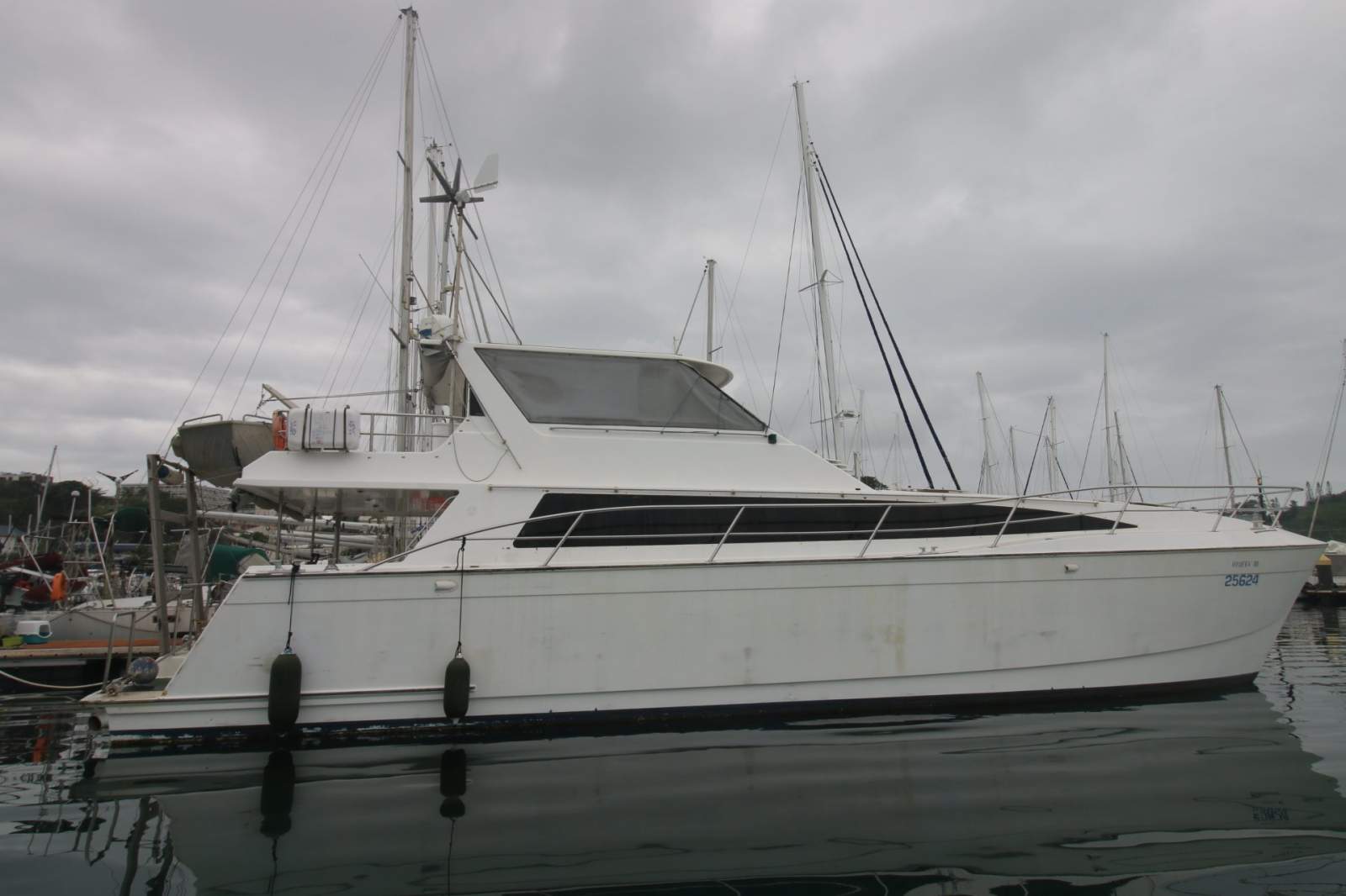 Ron Given Powercat 58 Ideal for family or professional project