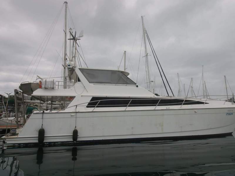 Ron Given Powercat 58 Ideal for family or professional project