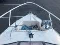 Savage 485 Safari Boat, Motor, Trailer Package
