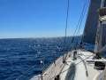 Jeanneau Sun Odyssey 54 DS