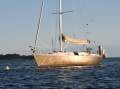 Comar Genesi 43