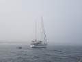 Bruce Roberts Offshore 44