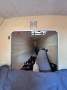 Fountaine Pajot Athena 38:Port Forward Storage Locker