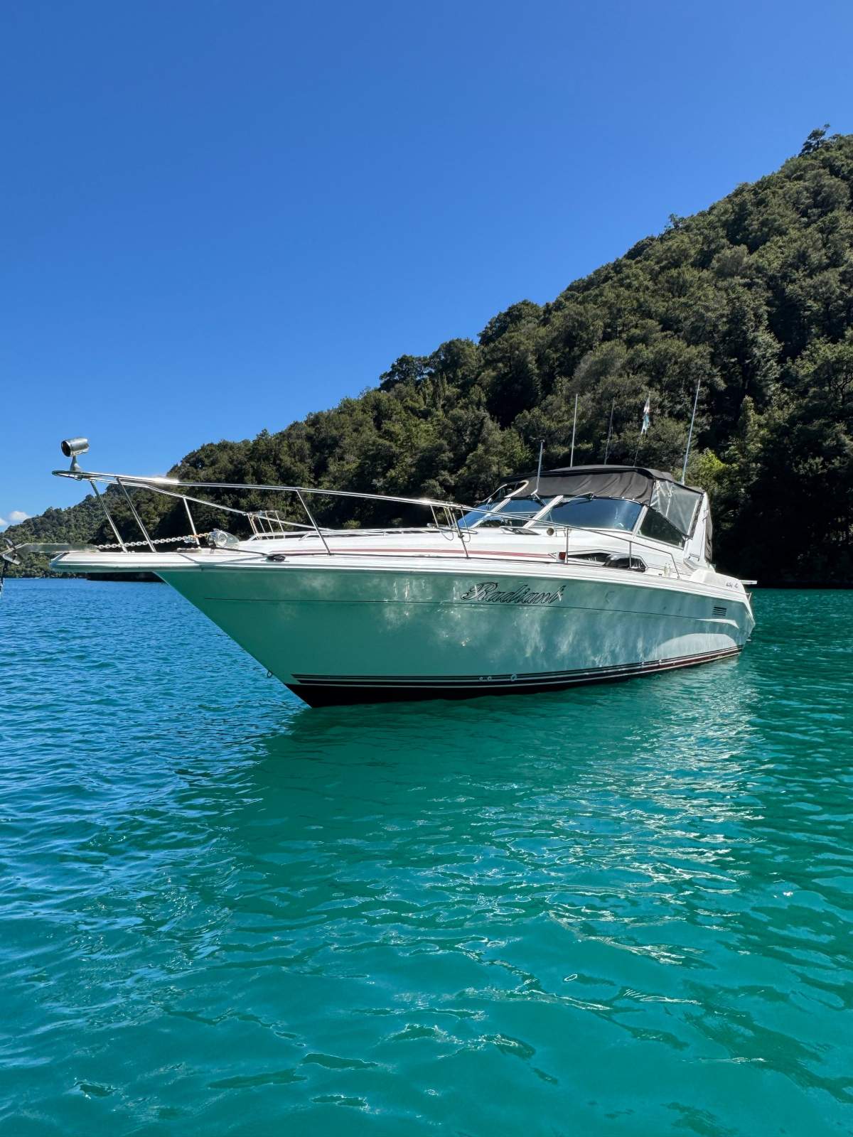 Sea Ray 310 Sport Cruiser
