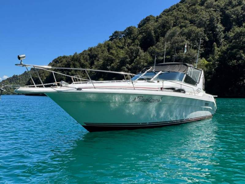 Sea Ray 310 Sport Cruiser