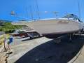 Sea Ray 310 Sport Cruiser