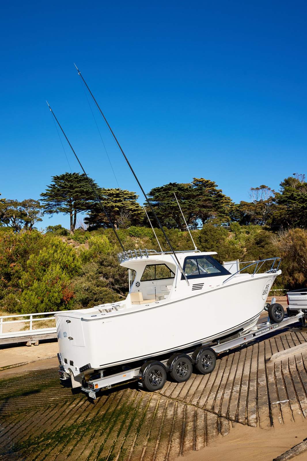 Tasman 80