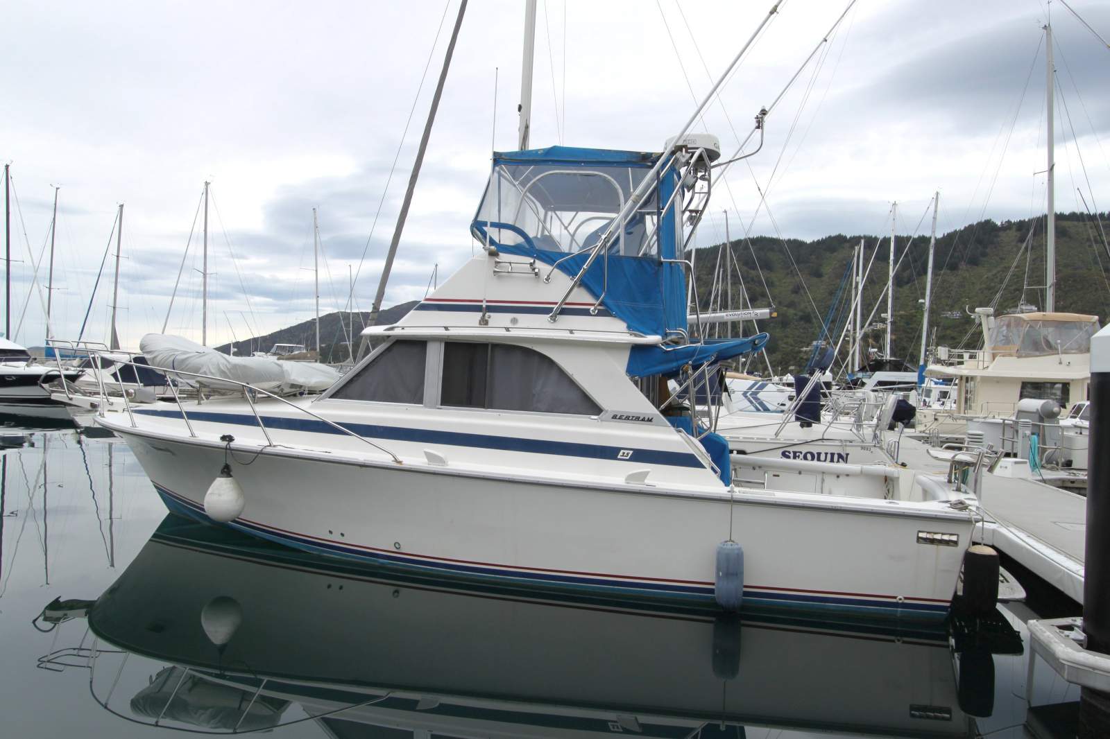 Bertram 35 Flybridge Sports