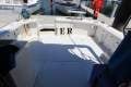Bertram 35 Flybridge Sports