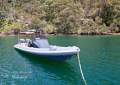 Scorpion Serket 88:2013 Scorpion Serket 88 For Sale