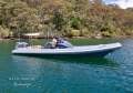 Scorpion Serket 88:2013 Scorpion Serket 88 For Sale