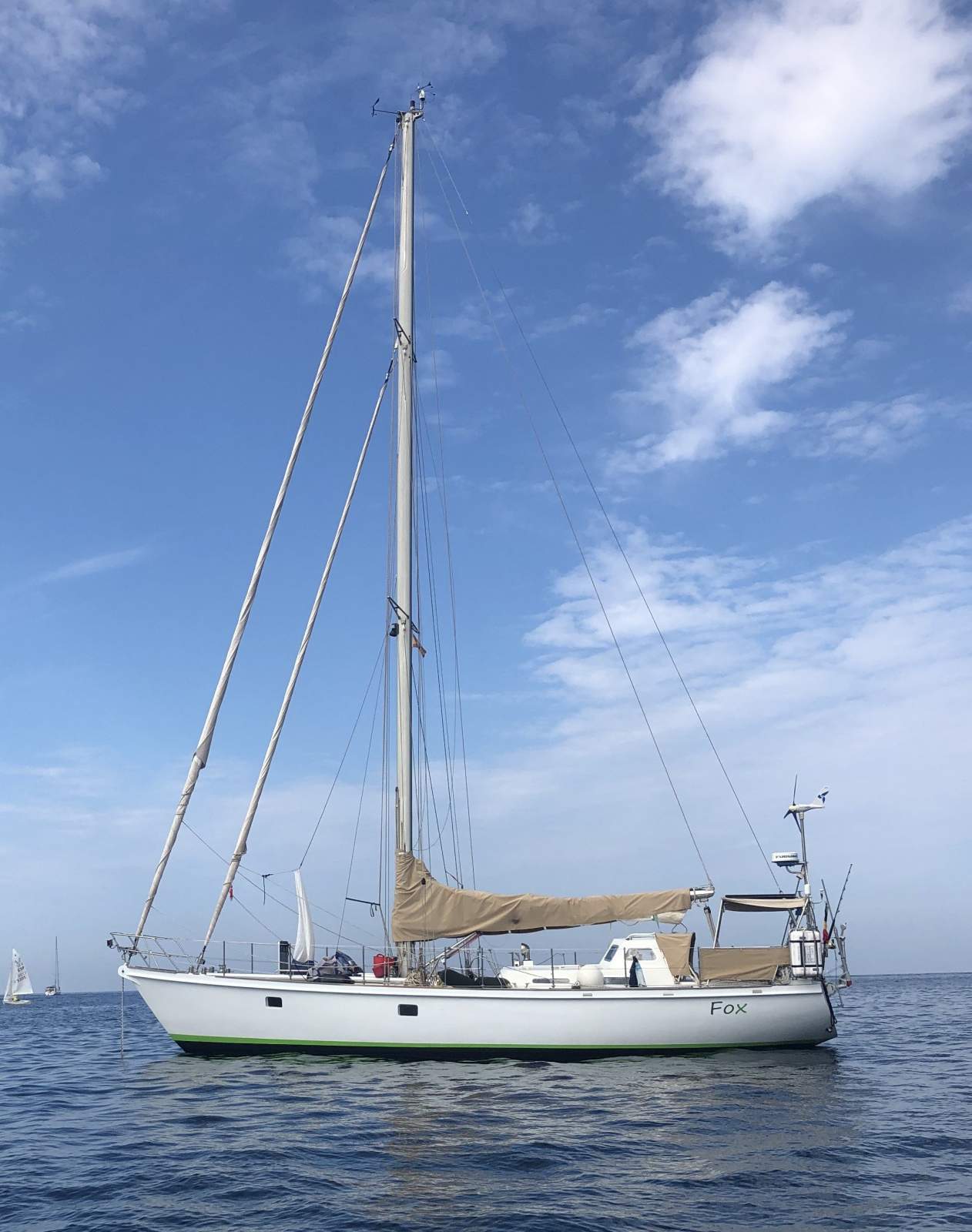 Koopmans 40