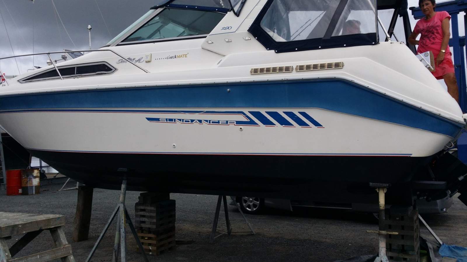 Sea Ray 290 Sundancer