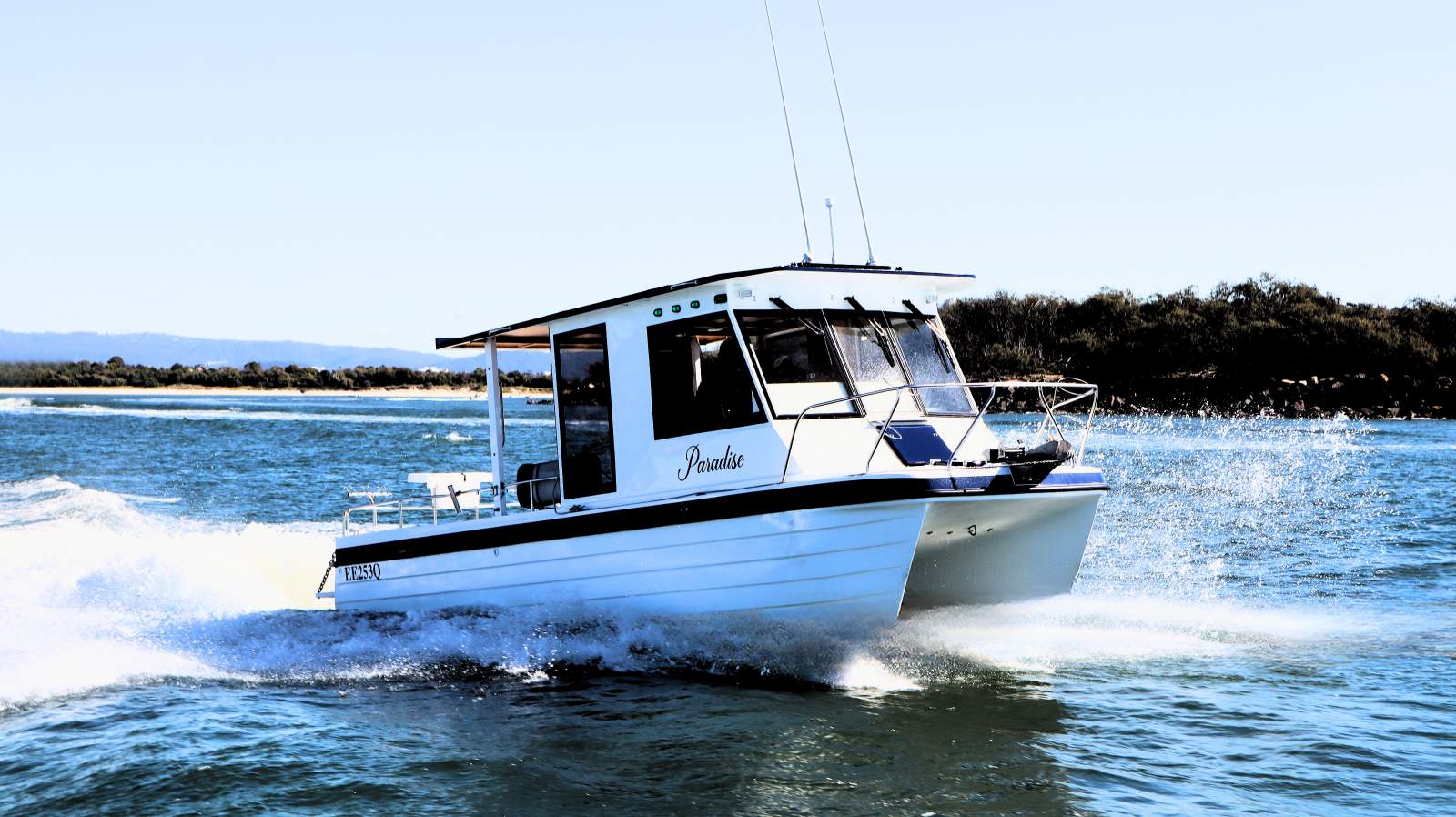 Shark Cat 2800
