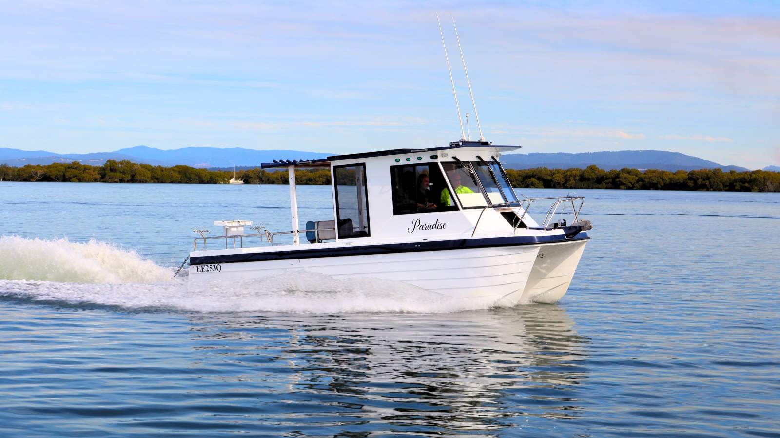 Shark Cat 2800
