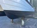 Shark Cat 2800